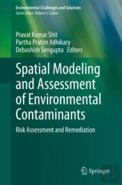 Spatial Modeling And Assessment Of Environmental Contaminants