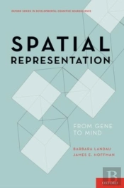 Spatial Representation