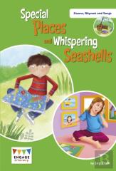 Special Places And Whispering Sea Shells
