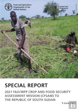 Bertrand.pt - Special Report - 2021 Fao/Wfp Crop And Food Security Assessment Mission (Cfsam) To South Sudan