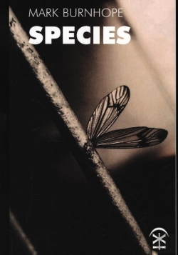 Bertrand.pt - Species