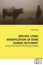 Specific Lithic Modification Of Bone Dur