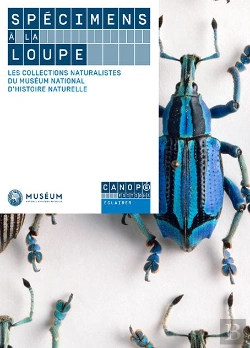 Bertrand.pt - Spécimens À La Loupe ; Les Collections Naturalistes Du Muséum National D'Histoire Naturelle