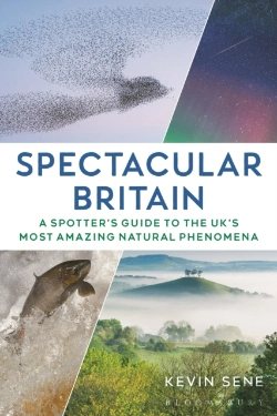 Bertrand.pt - Spectacular Britain