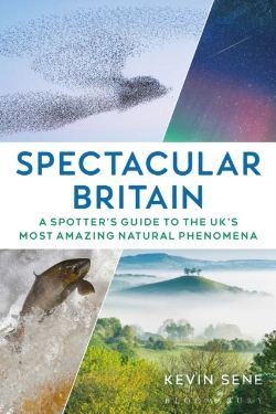 Bertrand.pt - Spectacular Britain