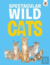 Spectacular Wild Cats