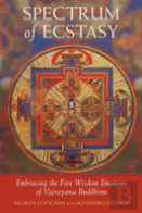 Spectrum Of Ecstasy