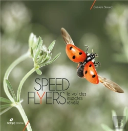 Bertrand.pt - Speed Flyers - Le Vol Des Insectes Revele