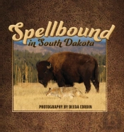 Spellbound In South Dakota