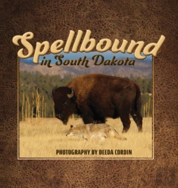 Bertrand.pt - Spellbound In South Dakota