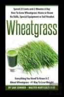 Spend 25 Cents And 2 Minutes A Day How To Grow Wheatgrass