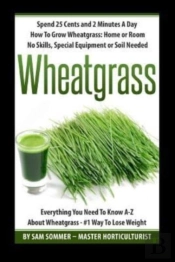 Spend 25 Cents And 2 Minutes A Day How To Grow Wheatgrass