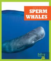 Sperm Whales