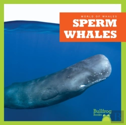 Bertrand.pt - Sperm Whales