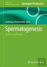 Spermatogenesis