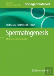 Spermatogenesis