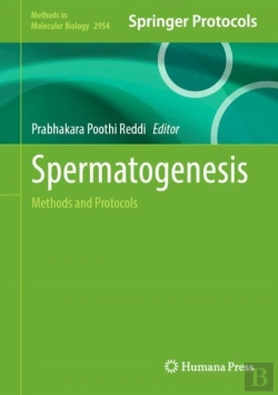 Bertrand.pt - Spermatogenesis