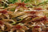 Sphagnum