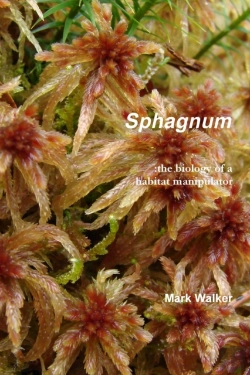 Bertrand.pt - Sphagnum