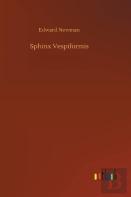 Sphinx Vespiformis