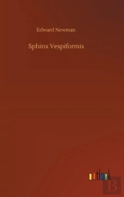 Sphinx Vespiformis