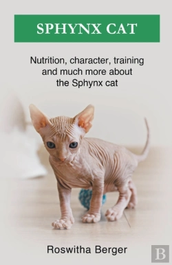 Bertrand.pt - Sphynx Cat