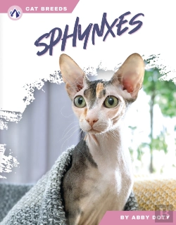 Bertrand.pt - Sphynxes