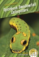 Spicebush Swallowtail Caterpillars