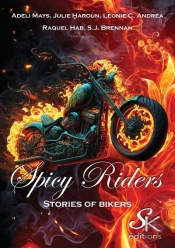 Spicy Riders, Stories Of Bikers
