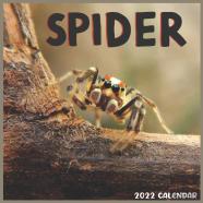 Spider 2022 Calendar