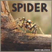 Spider 2022 Calendar