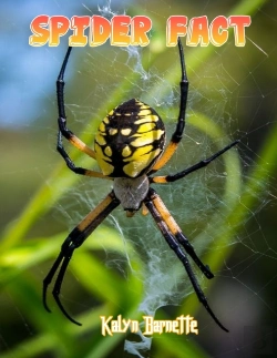 Bertrand.pt - Spider Fact