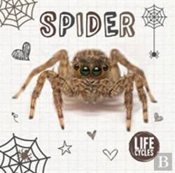 Bertrand.pt - Spider
