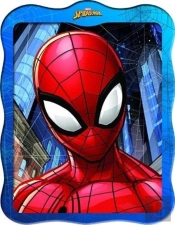 Spider-Man:
