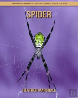 Bertrand.pt - Spider