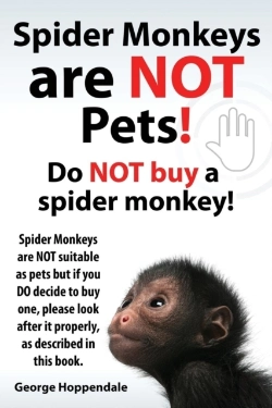 Bertrand.pt - Spider Monkeys Are Not Pets! Do Not Buy A Spider Monkey! Spider Monkeys Are Not Suitable As Pets But If You Do Decide To Buy One, Please Look After It