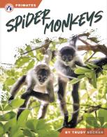 Spider Monkeys