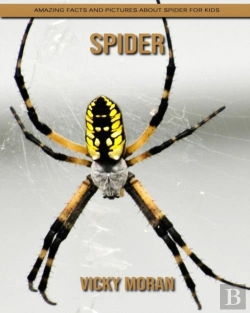 Bertrand.pt - Spider