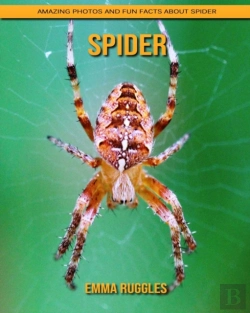 Bertrand.pt - Spider