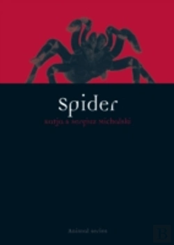 Bertrand.pt - Spider