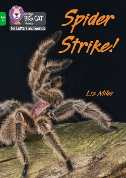 Bertrand.pt - Spider Strike!