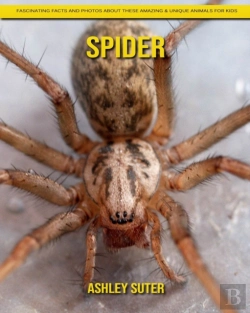 Bertrand.pt - Spider