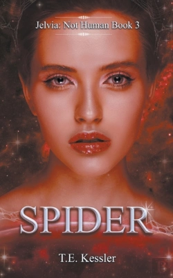 Bertrand.pt - Spider