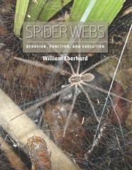 Spider Webs