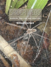 Spider Webs