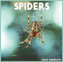 Bertrand.pt - Spiders 2022 Calendar