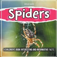 Spiders