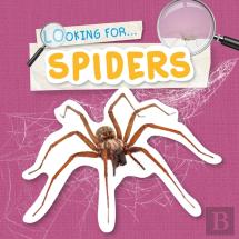 Spiders