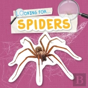 Spiders