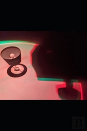 Spiders In Space